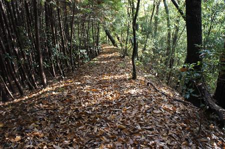 杉村公園から三石山