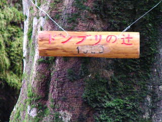 E:\Users\OWNER\Documents\シマヤンホームページ\SANY00232.jpg