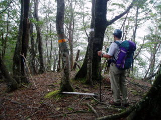 E:\Users\OWNER\Documents\シマヤンホームページ\P90400931.jpg