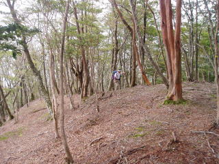E:\Users\OWNER\Documents\シマヤンホームページ\P90401071.jpg