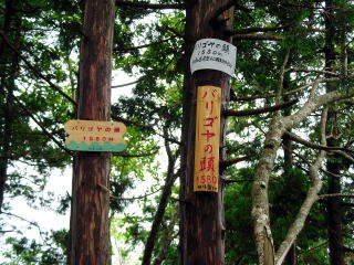 E:\Users\OWNER\Documents\シマヤンホームページ\SANY00311.jpg